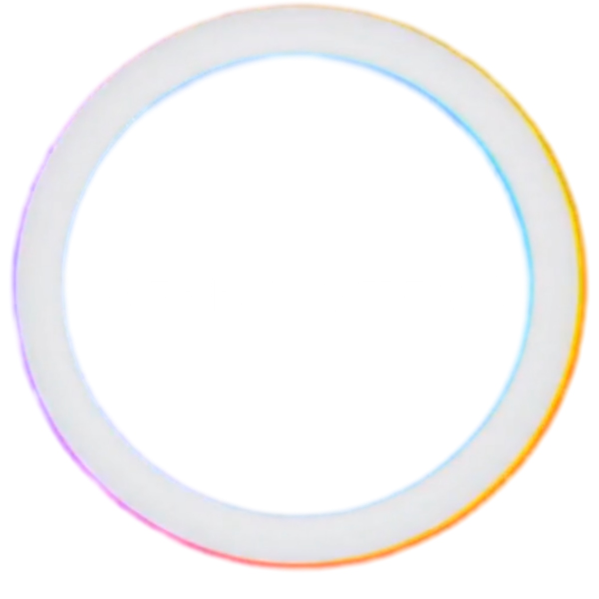 Web Systems Seal